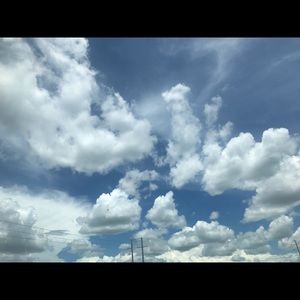 Meet your Posher, Daisy